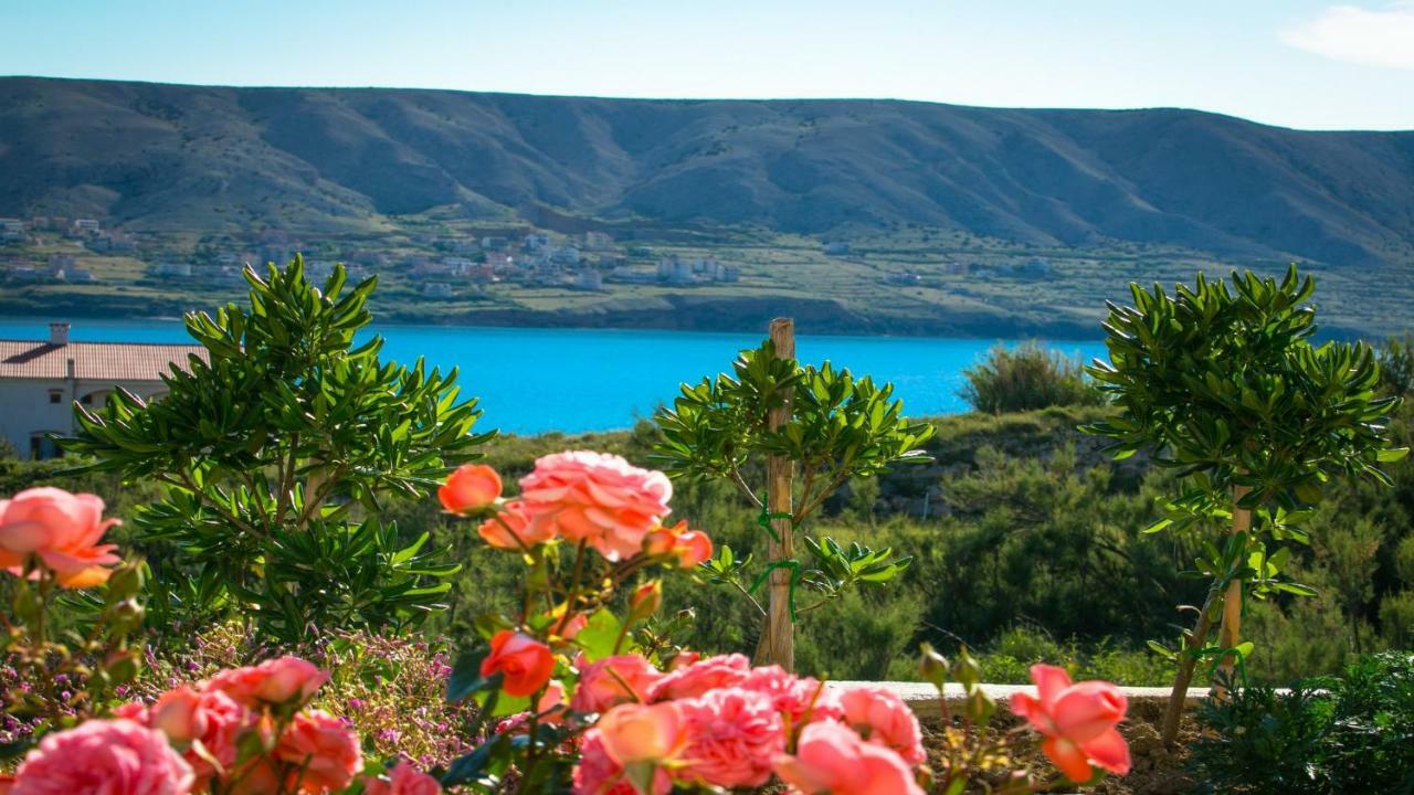 Apartments Basaca Pag Town Εξωτερικό φωτογραφία
